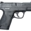 Smith and Wesson M&P9 Shield Don’t Tread On Me 9mm 3.1″ Barrel 8-Rounds