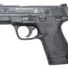 Smith and Wesson M&P9 Shield Don’t Tread On Me 9mm 3.1″ Barrel 8-Rounds
