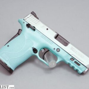 Smith & Wesson M&P9 Shield EZ 9mm Pistol with Robins