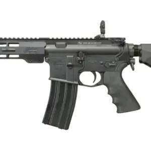 Windham WW-15 223/5.56mm AR Pistol with Brace