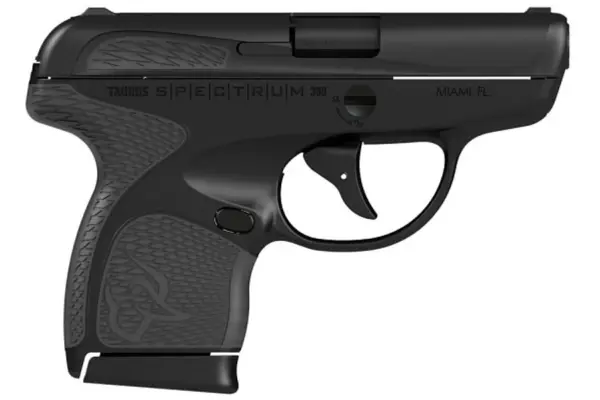 Taurus Spectrum 380 ACP Black/Gray Carry Conceal