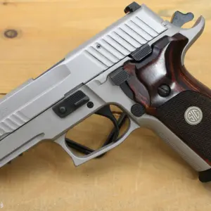 Sig Sauer P229 Elite Stainless 9mm Centerfire Pistol with Night Sights