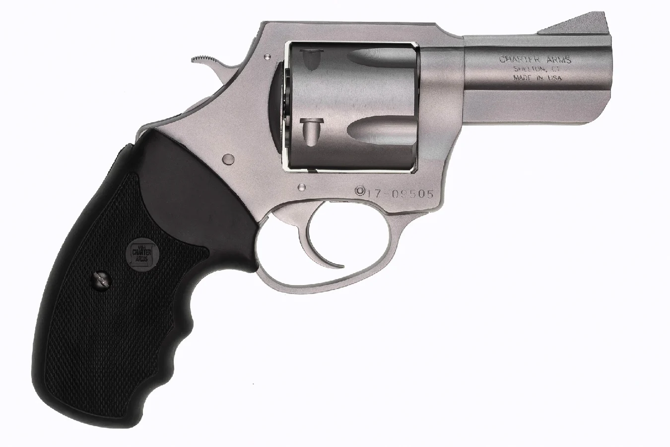 Charter Arms Pitbull, 45 ACP, 2.5", 5rd, Stainless