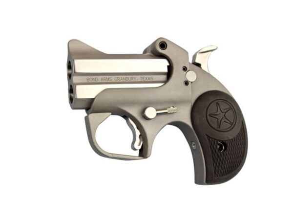 Bond Arms Roughneck Stainless .45 ACP 2.5″ 2-Round
