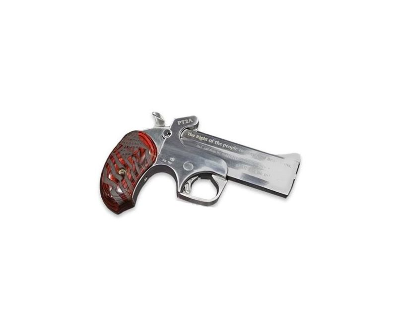 Bond Arms PT2A Stainless .357 .38 4.25 Inch 2Rnd