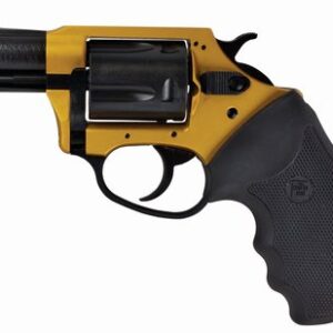 Charter Arms 53290 Undercoverette Gold & Black