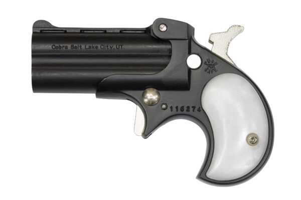 C22 22 Mag Derringer with Black Finish