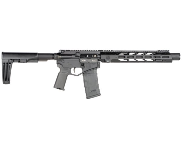 Diamondback DB15 .300 AAC Blackout 10″ Barrel 30-Rounds