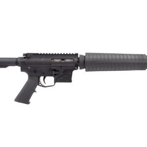 Palmetto State Armory PA-X9 9mm Semi-Automatic Rifle