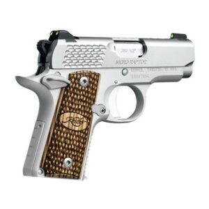 Kimber Micro Raptor Stainless .380 ACP 2.75-inch 6Rd Night Sights