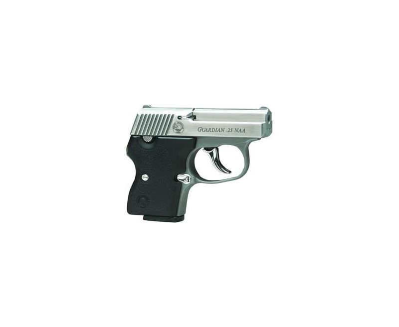 NAA GRDN 25NAA 6RD Stainless FC