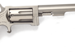 North American Arms Sidewinder Stainless Steel .22WMR 4-inch 5 Rds