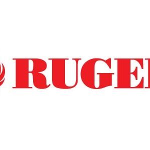 Ruger BLACKHAWK 357MAG 4-5/8 SS 6RD