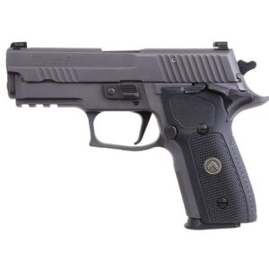 Sig Sauer P229 Legion SAO Gray 9mm 3.9-inch 10Rds XRAY3 Night Sights