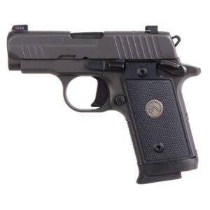 Sig Sauer P238 Legion Micro Compact Gray .380 ACP 2.7-inch 7Rds