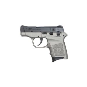 Smith and Wesson M&P Bodyguard 380 Gray / Black .380 ACP 2.75″ Barrel 6-Rounds