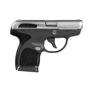 Taurus Spectrum Stainless .380 ACP 2.8-inch 7Rds Black Slide & Frame Accents