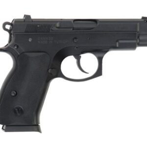 Tristar C100 9mm with 2 15rd Magazines Black