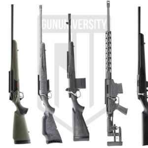 300 Win Mag vs 300 WSM: 2025 Ammo Comparison