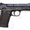 Smith & Wesson 13338 M&P Shield EZ