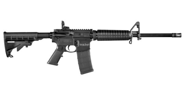 Smith & Wesson M&P15 Sport II 5.56mm Limited Edition We the People