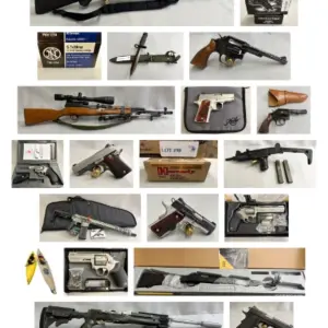 guns, ammo, accessories shipped nationwide