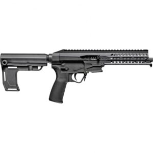 Patriot Ordnance Factory Rebel .22 LR 8″ Barrel 10-Rounds