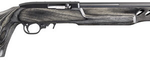Ruger 10/22 Target Lite Laminate Thumbhole Stock