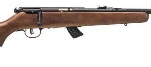 SAVAGE MKIIGY 22LR AT YOUTH WOOD STK near El Dorado Springs