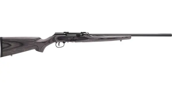 Savage A17 Sporter 17 HMR Autoloader Rifle with Wood Laminate Stock