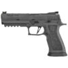 Sig Sauer P320 Legion Gray 9mm 5″ Barrel 17-Rounds Adjustable Sights 1 Magazine