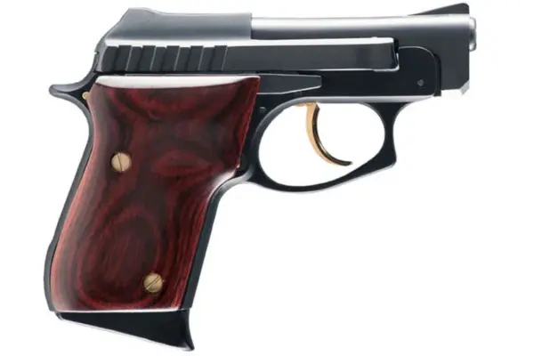 Taurus PT-22 22LR Rimfire Pistol with Rosewood Grips and Gold Accents