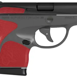 Taurus Spectrum 380 ACP Carry Conceal Pistol with Gray Frame and Torch ...