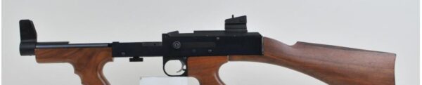 AMERICAN 180, 9″ BARREL 22LR