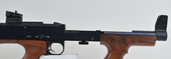 AMERICAN 180, 9″ BARREL 22LR