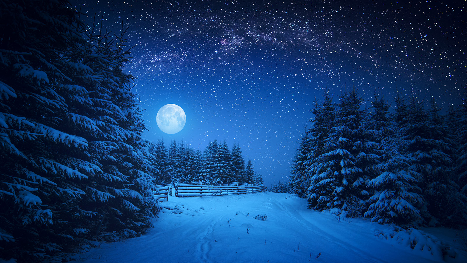 What will the Snow Full Moon of 2025 be like
