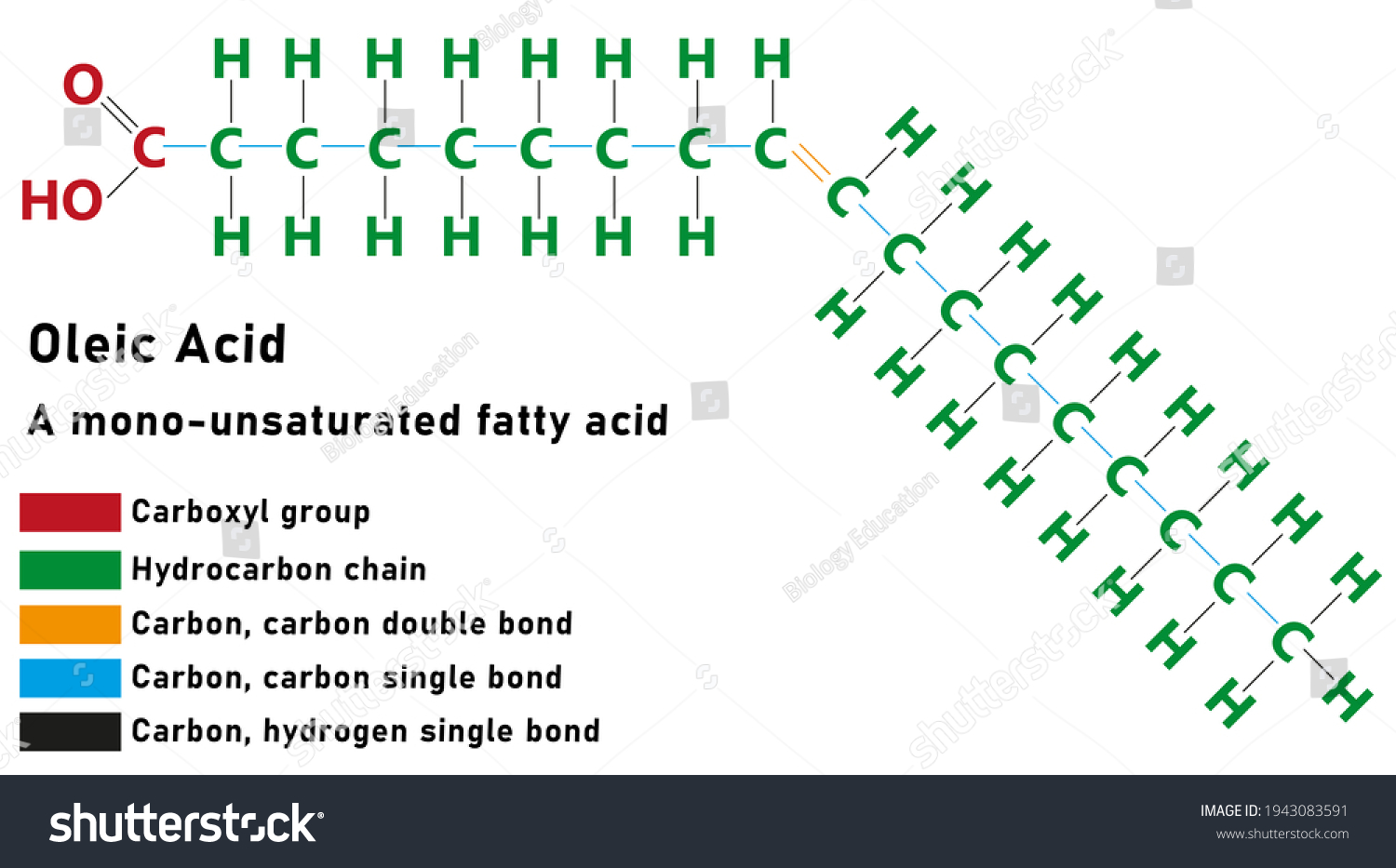 Oleic Acid Fatty Acid Colour Image Stock Illustration 1943083591