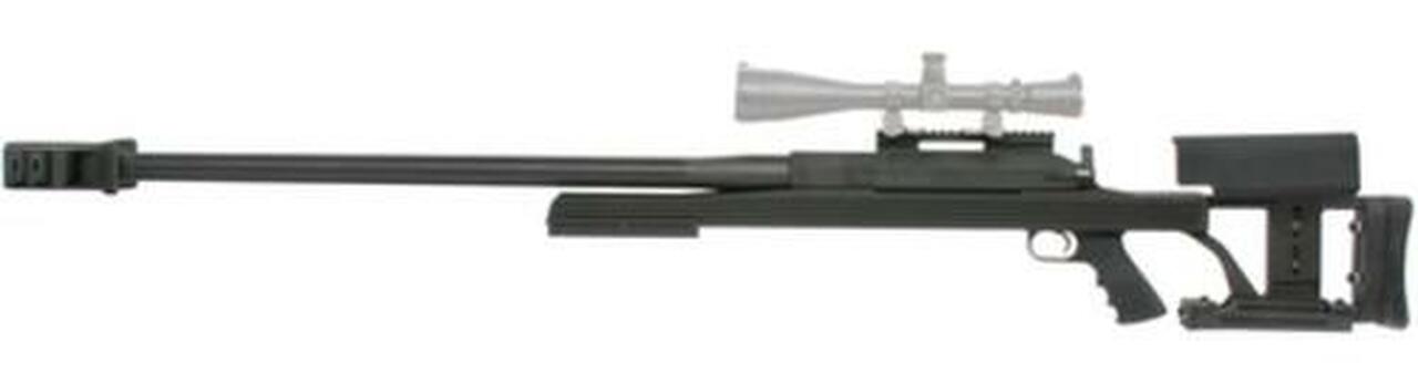 Armalite ArmaLite AR-50A1 National Match, 50 BMG