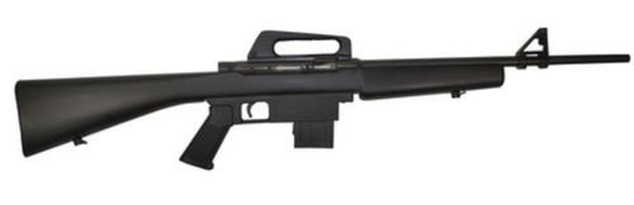 Armscor Model 1600 22LR AR-15 18.25″ Blue Black Stock 10 Round
