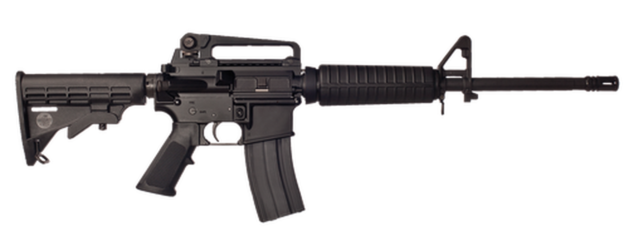 Bushmaster A3 Carbine .223/5.56 16″ Barrel Detachable Carry Handle 30 Rd Mag
