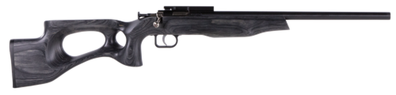 Crickett Black Target 22LR, 16.125″ Barrel, Laminate Thumbhole Black Stock, Blued