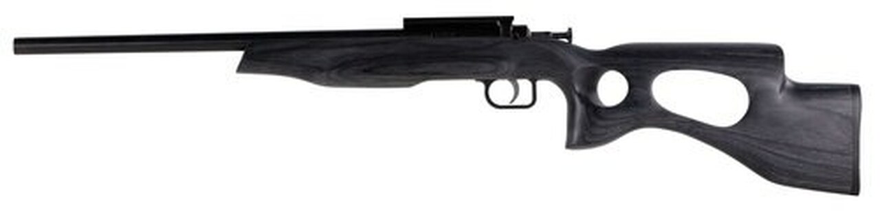 Crickett Black Target 22LR, 16.125″ Barrel, Laminate Thumbhole Black Stock, Blued