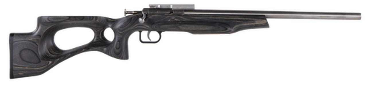 Crickett Black Target 22LR, 16.125″ Barrel, Laminate Thumbhole Black Stock, Stainless Steel