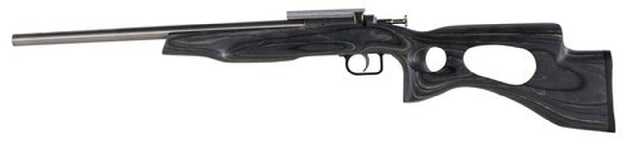 Crickett Black Target 22LR, 16.125″ Barrel, Laminate Thumbhole Black Stock, Stainless Steel