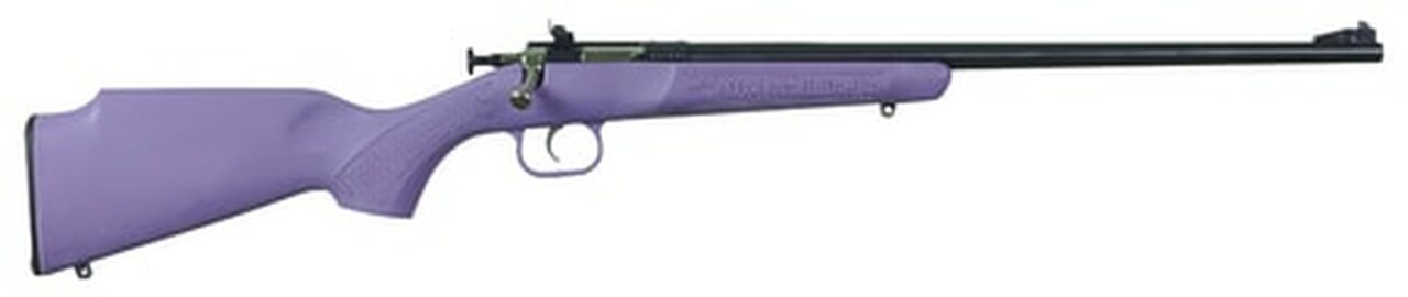Crickett Single Shot Synthetic 22 WMR, Purple Synthetic Stock, Blued, 1rd