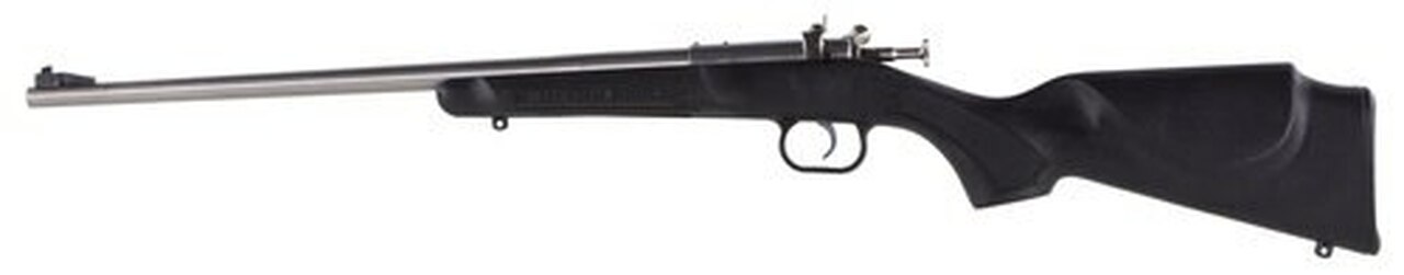 Crickett Single Shot Synthetic 22 WMR, Synthetic Black Stock, Stainless Steel, 1rd