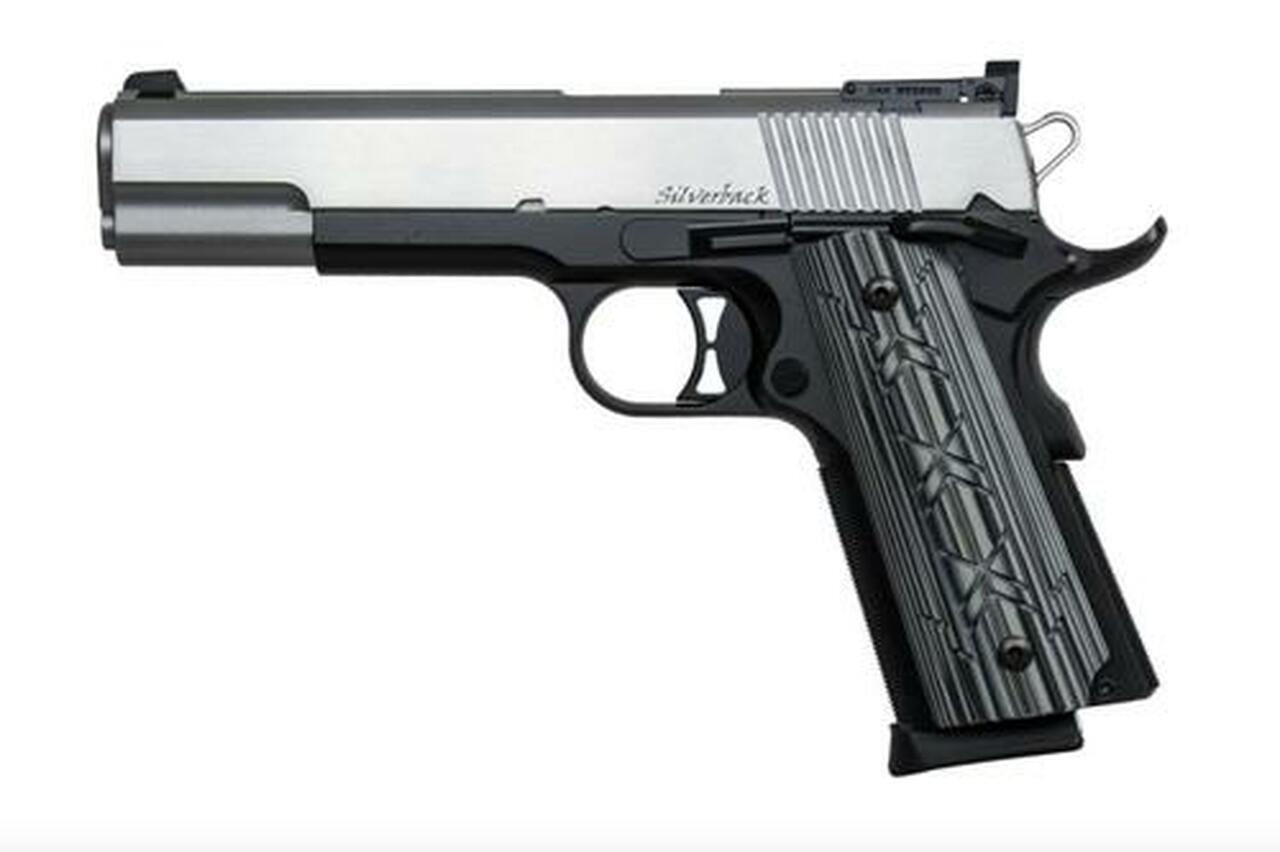 Dan Wesson Silverback 9mm, 5″ Barrel, Black/Stainless Steel, Night Sights,, rd, 10 rd