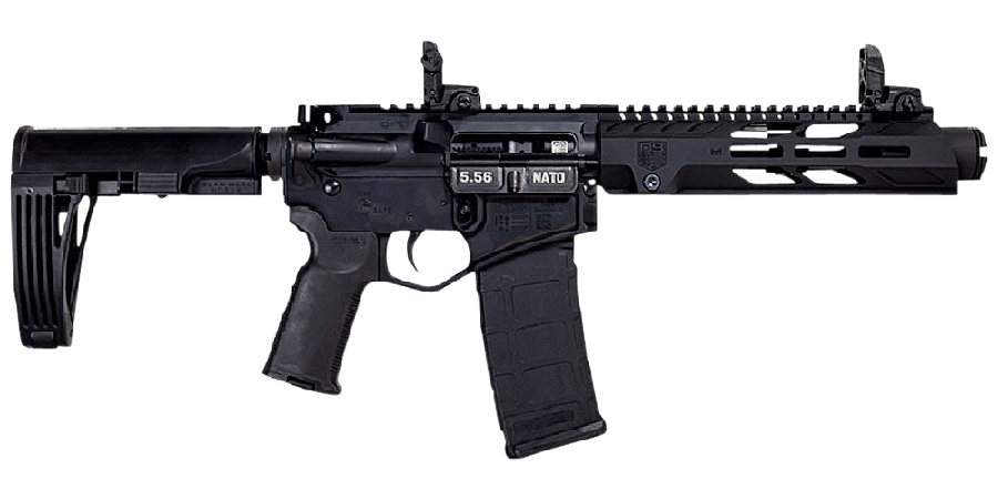 DB15 5.56x45mm AR Pistol with Tailhook Mod2 Brace
