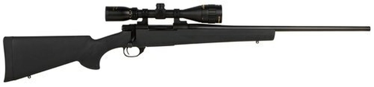 Howa Hogue, 6mm Creedmoor, 22″, 4rd, 3.5-10x44mm Gameking Scope, Blued, Black