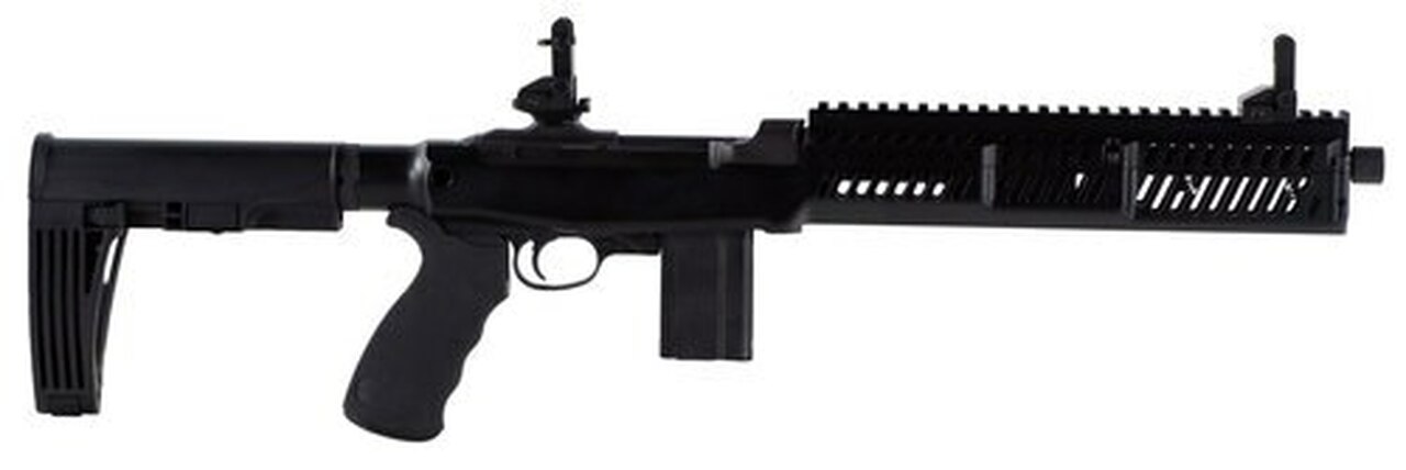 Inland M30P M30 PISTOL 30 Carbine, MOD2 ARM BRACE